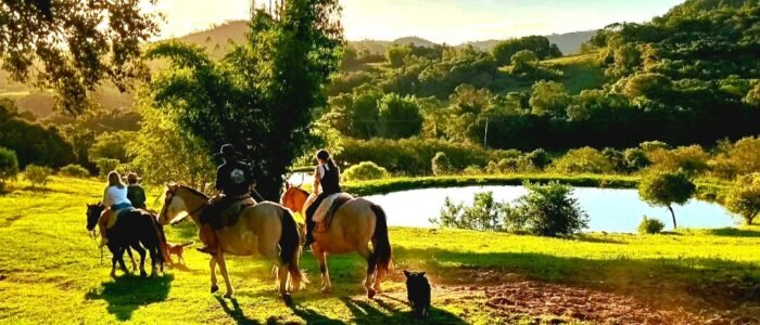 Screenshot_20250803_145935_Instagram